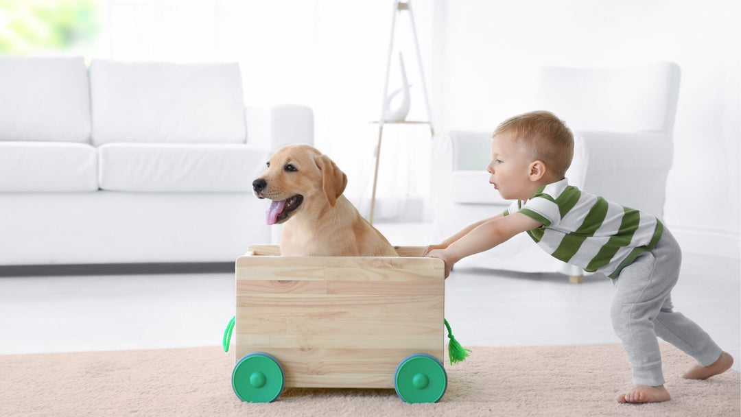 The Top 10 Dog Breeds for Families with Kids