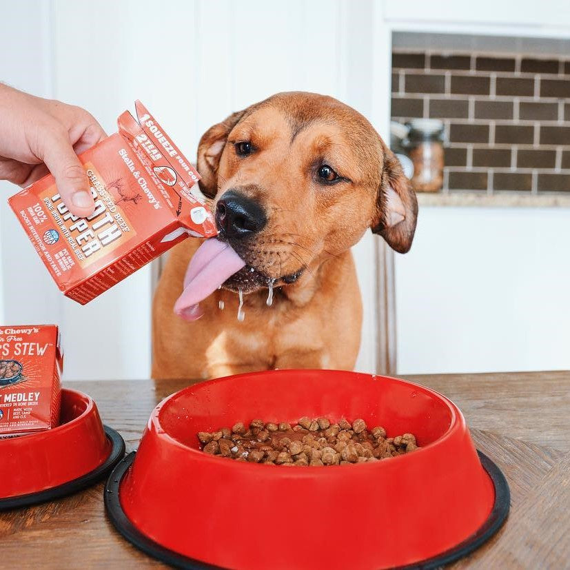 Stella & Chewy's Marie's Kitchen Beef Mixer Dog Food
